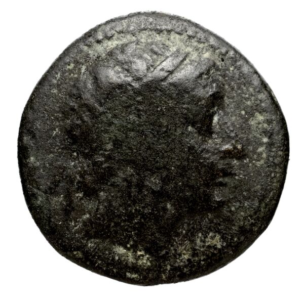 Seleucid Coins (part 1) 710a, аверс, bnf-hrc