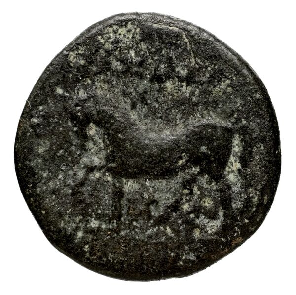 Seleucid Coins (part 1) 710a, реверс, bnf-hrc