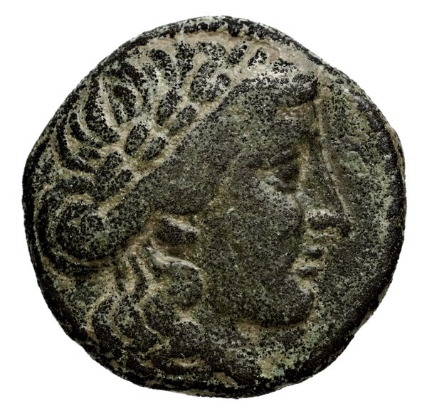Seleucid Coins (part 1) 696, аверс, BnF (HRC)