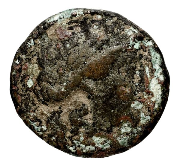 Seleucid Coins (part 1) 696, аверс, BnF (HRC)
