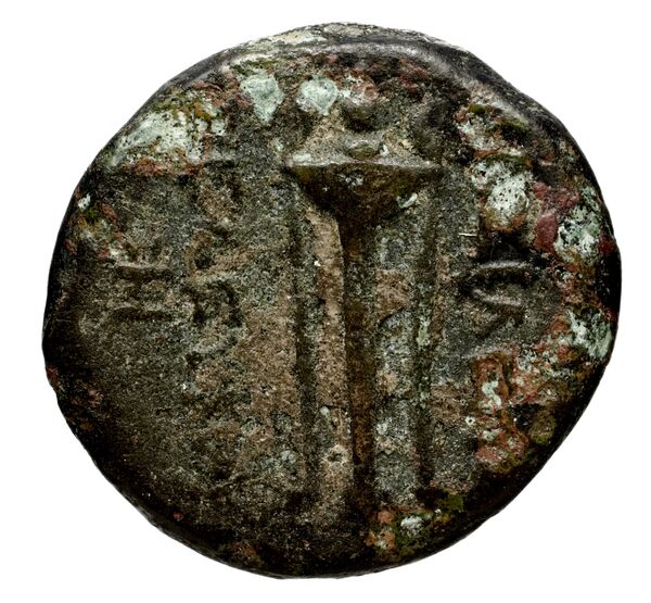 Seleucid Coins (part 1) 696, реверс, BnF (HRC)