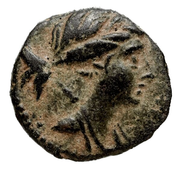 аверс Seleucid Coins (part 1) 922.1b