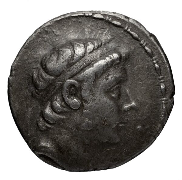 аверс Seleucid Coins (part 1) 1041.1