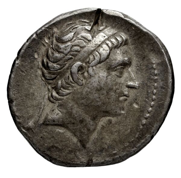 Seleucid Coins (part 1) 1121.2, аверс, BnF (HRC)