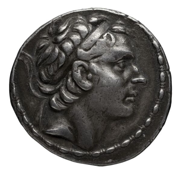 аверс Seleucid Coins (part 1) 1044.2