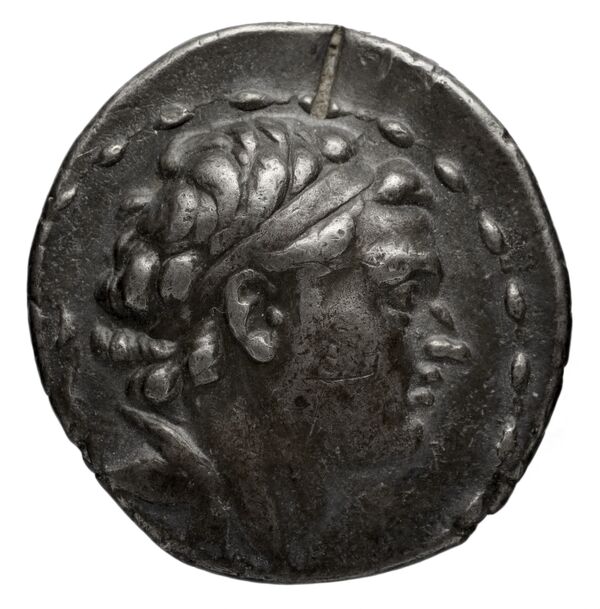 аверс Seleucid Coins (part 1) 1045.3