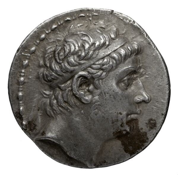 аверс Seleucid Coins (part 1) 1041.3