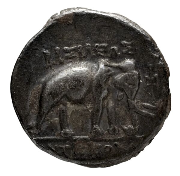 Seleucid Coins (part 1) 1066, реверс, BnF (HRC)
