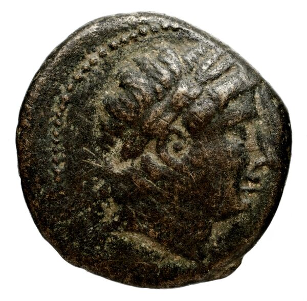 аверс Seleucid Coins (part 1) 1048.1e