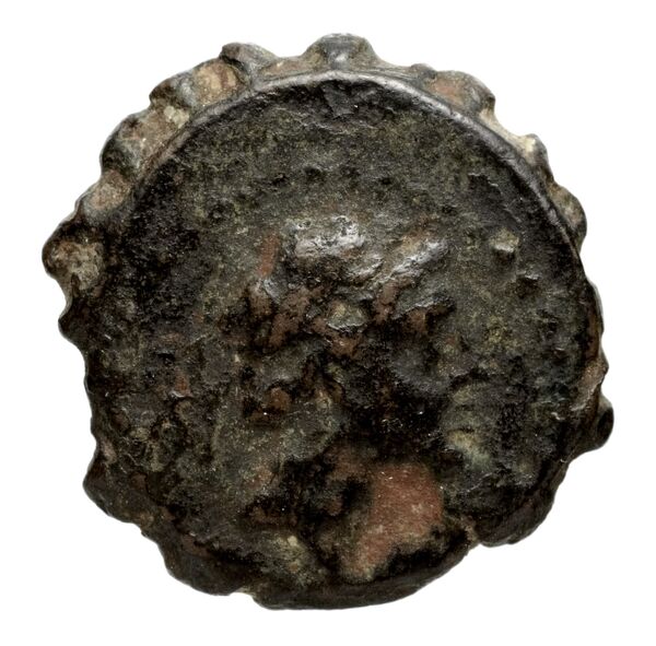 Seleucid Coins (part 2) 1478, аверс, bnf-hrc