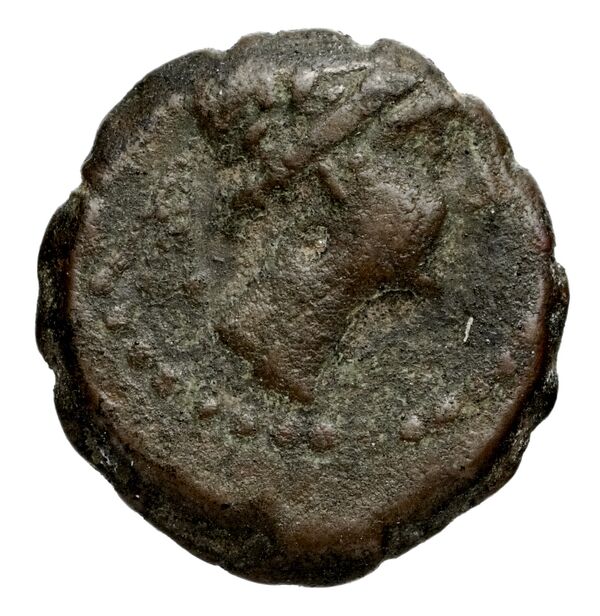 Seleucid Coins (part 2) 1478, аверс, bnf-hrc