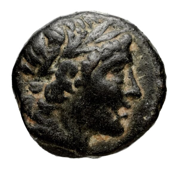 аверс Seleucid Coins (part 1) 1052d