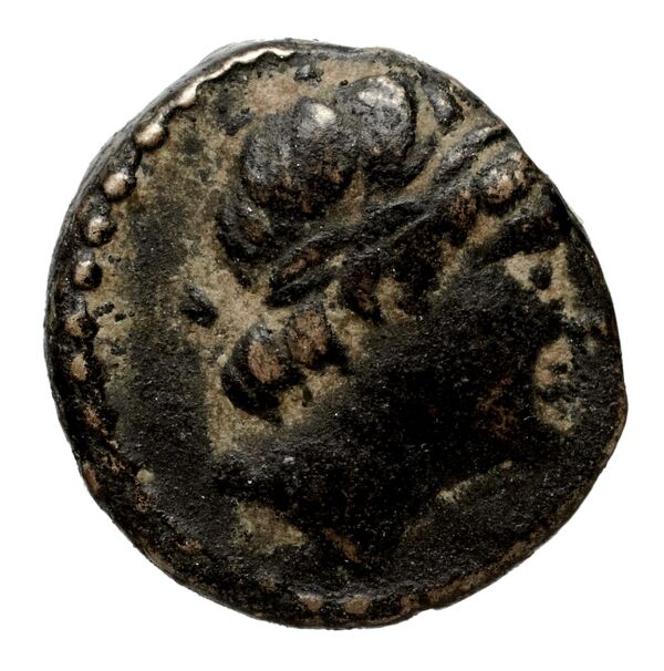аверс Seleucid Coins (part 1) 1055.1a
