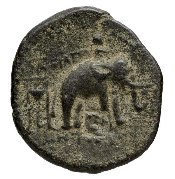 Seleucid Coins (part 1) 1084, реверс, bnf-hrc