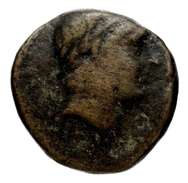 Seleucid Coins (part 1) 1084a, аверс, BnF (HRC)