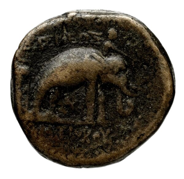 Seleucid Coins (part 1) 1084a, реверс, BnF (HRC)
