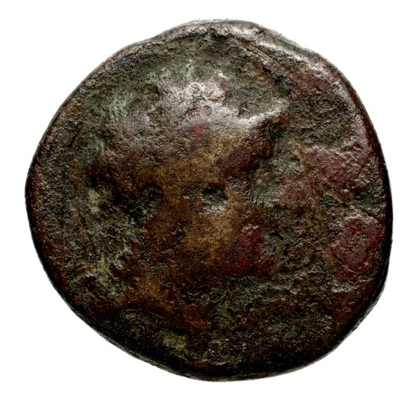 Seleucid Coins (part 1) 1084a, аверс, BnF (HRC)