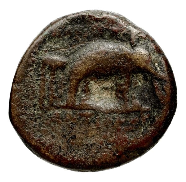 Seleucid Coins (part 1) 1084a, реверс, BnF (HRC)