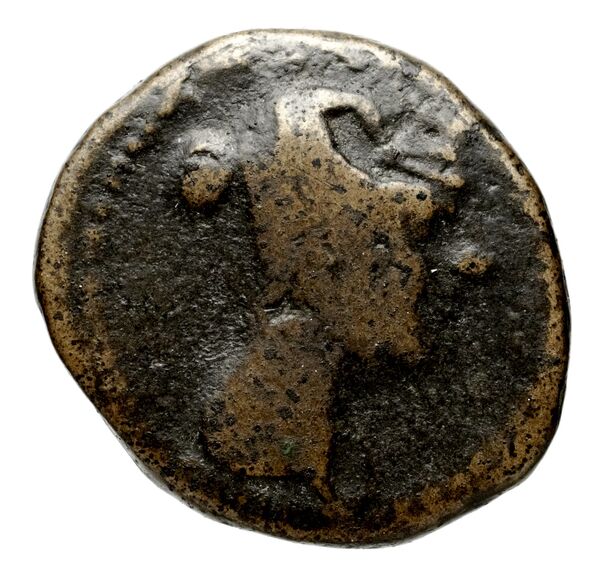 obverse Seleucid Coins (part 2) 1407a