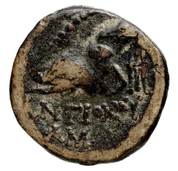 реверс Seleucid Coins (part 2) 1407b