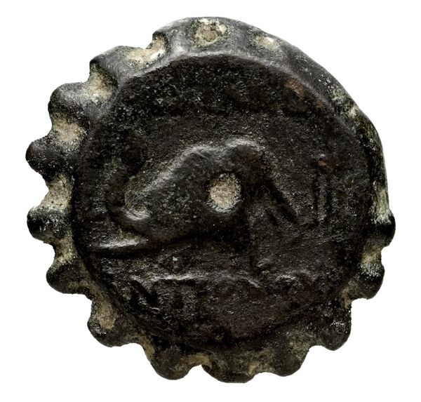 Seleucid Coins (part 2) 1407a, реверс, BnF (HRC)