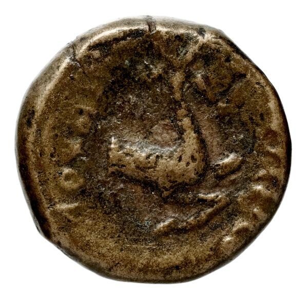 реверс Seleucid Coins (part 1) 544