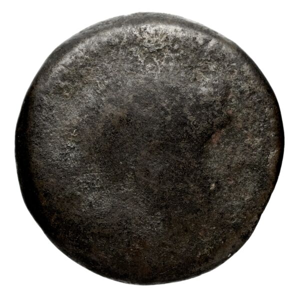 аверс Seleucid Coins (part 1) 1256