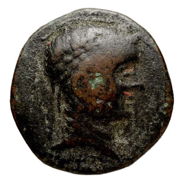 аверс Seleucid Coins (part 1) 1123