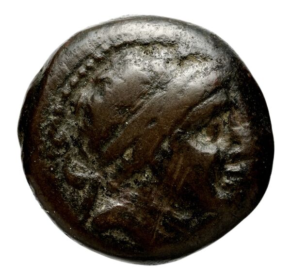 Seleucid Coins (part 1) 608, аверс, BnF (HRC)