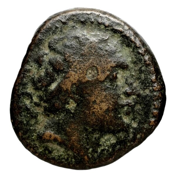 Seleucid Coins (part 1) 1078, аверс, BnF (HRC)