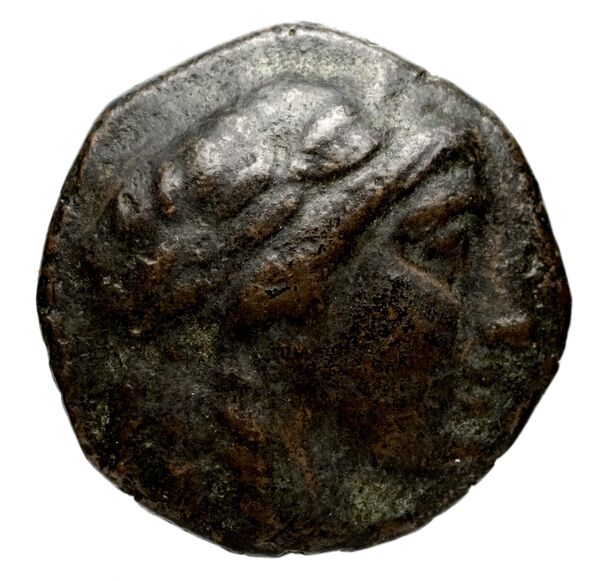 аверс Seleucid Coins (part 1) 955.1