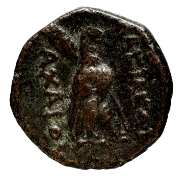 реверс Seleucid Coins (part 1) 955.1