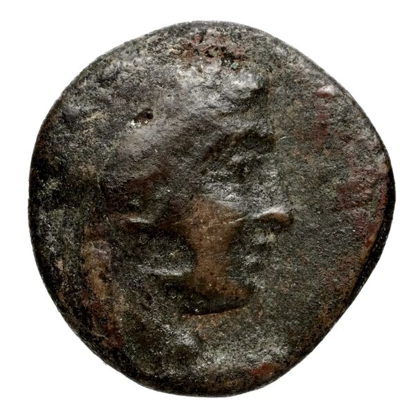 аверс Seleucid Coins (part 1) 957