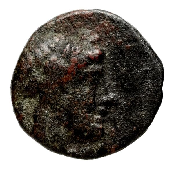 аверс Seleucid Coins (part 1) 959