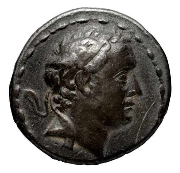 аверс Seleucid Coins (part 2) 1313.6