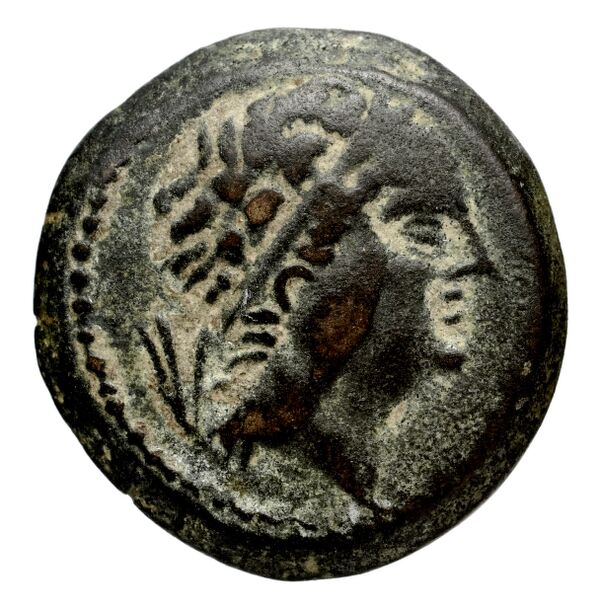 аверс Seleucid Coins (part 2) 1323.2