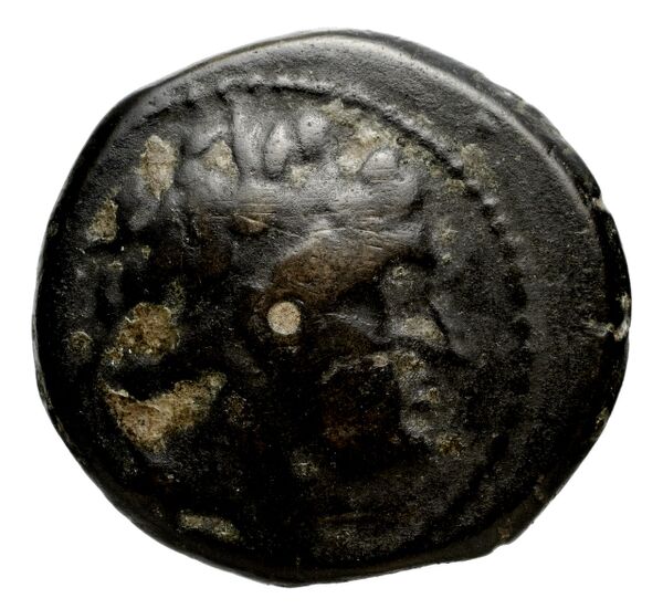аверс Seleucid Coins (part 2) 1323.3