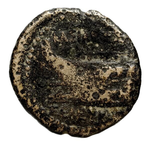 реверс Seleucid Coins (part 2) 1324