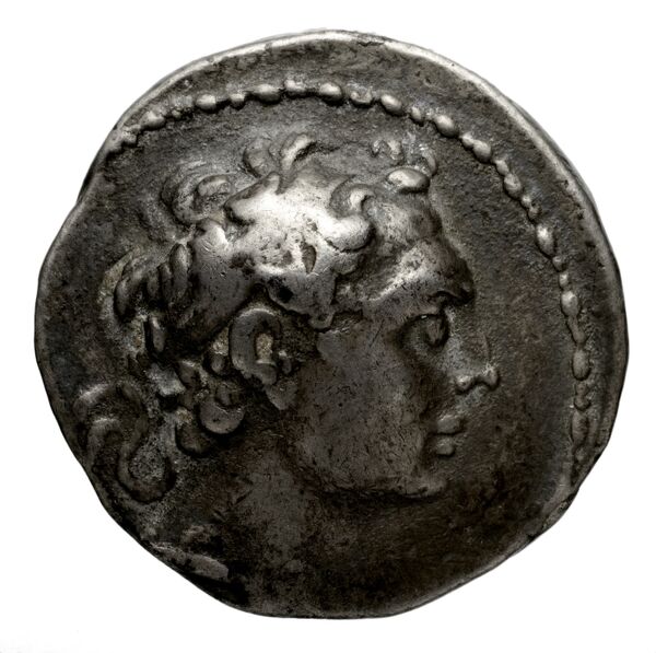 аверс Seleucid Coins (part 2) 1529.3