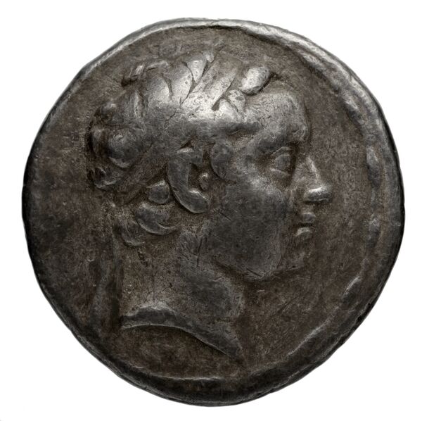аверс Seleucid Coins (part 2) 1543