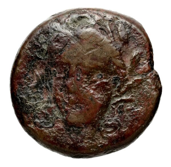 Seleucid Coins (part 1) 771, аверс, BnF (HRC)