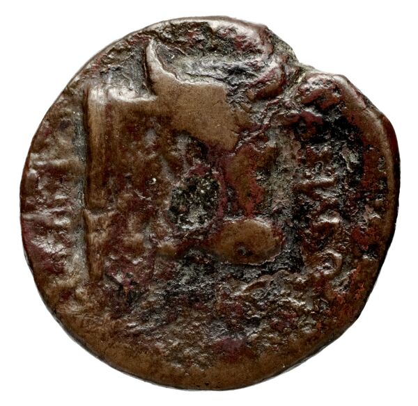 Seleucid Coins (part 1) 771, реверс, BnF (HRC)