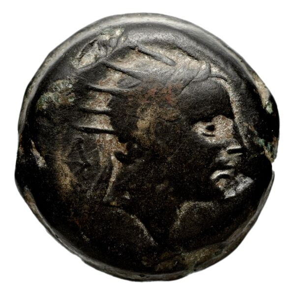 аверс Seleucid Coins (part 2) 1508