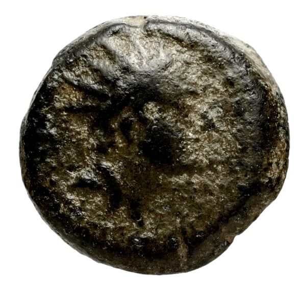 аверс Seleucid Coins (part 2) 1495.1