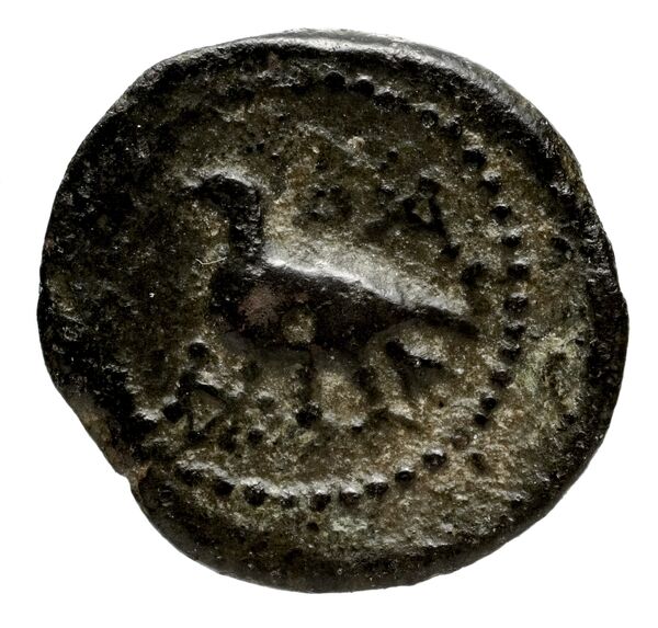 реверс Seleucid Coins (part 2) 1495.1