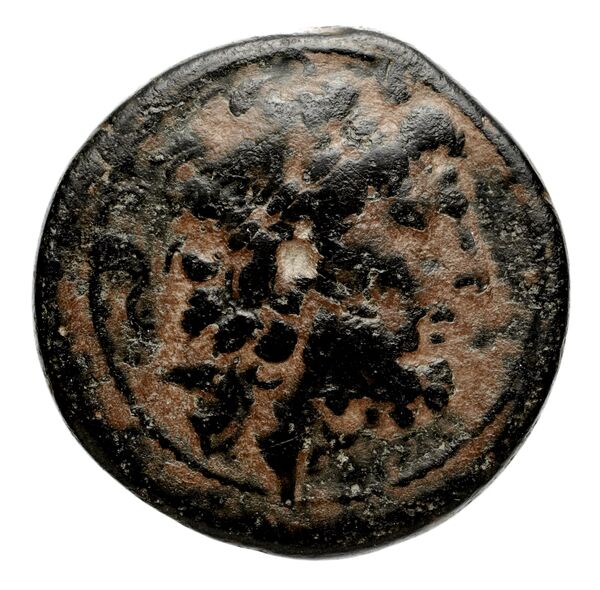 Seleucid Coins (part 2) 1412, аверс, bnf-hrc