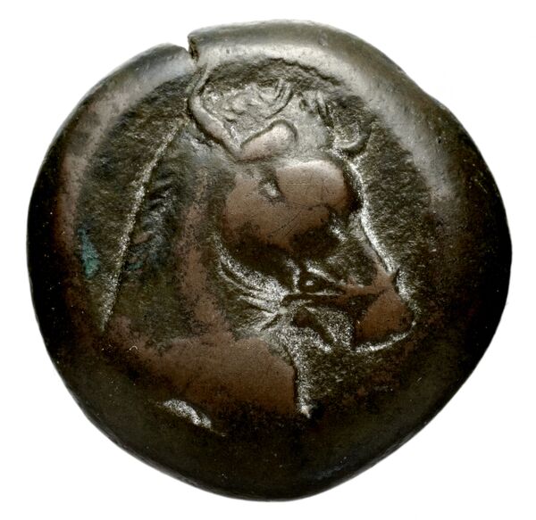 аверс Seleucid Coins (part 1) 145
