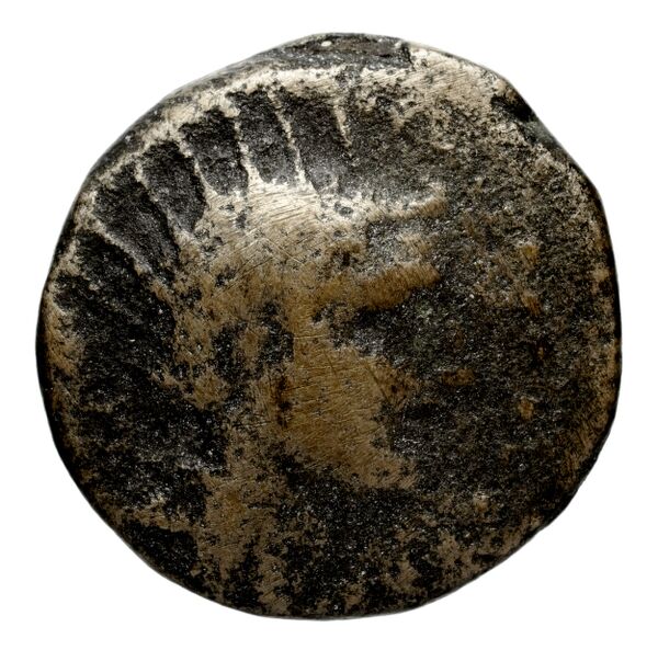 Seleucid Coins (part 2) 1379, аверс, bnf-hrc