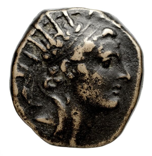 Seleucid Coins (part 2) 1500e, аверс, bnf-hrc
