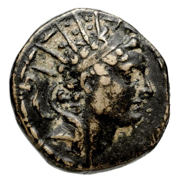 Seleucid Coins (part 2) 1500e, аверс, bnf-hrc